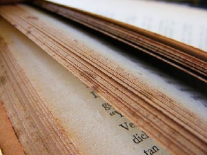 biblioteca 232 copy.jpg